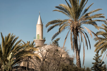 Dome and Minaret of Hala Sultan Tekke - 9251.pics