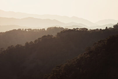 Foggy Troodos mountainscape - 9251.pics