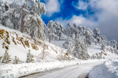 Snow covered road - 9251.pics