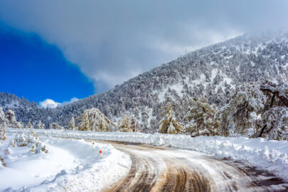 Snow covered trees and winter road - 9251.pics