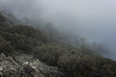 Fog on the mountain slopes - 9251.pics