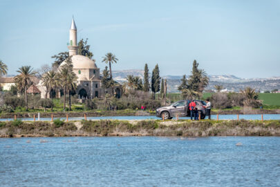 Hala Sultan Tekke on the west bank of Salt Lake - 9251.pics