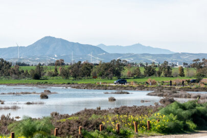 View across the Salt Lake - 9251.pics